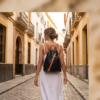 niche bags  luggage